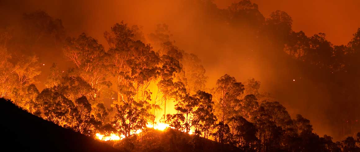 Amazzonia, in fiamme il nostro futuro