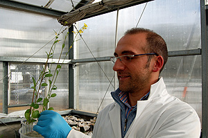 Damiano Coppolecchia nei laboratori asutraliani