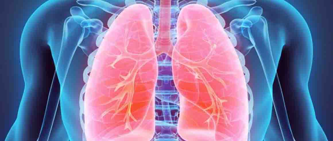La pillola blu per la fibrosi polmonare