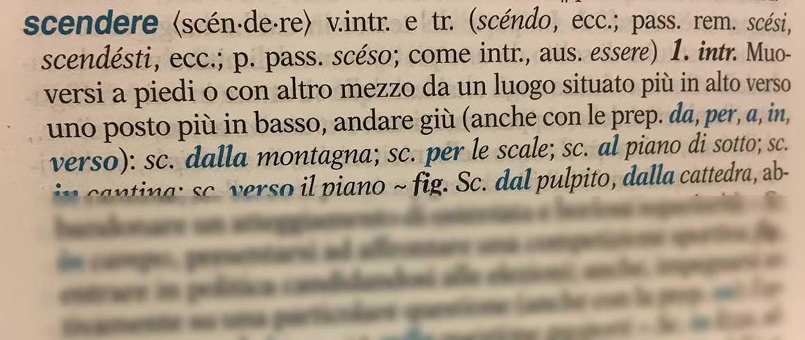 Scendi il cane? Non esageriamo!