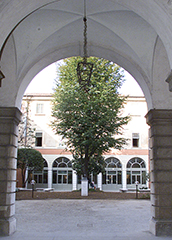 Il campus di Brescia - particolare