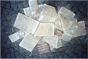 Volantini della Rosa bianca