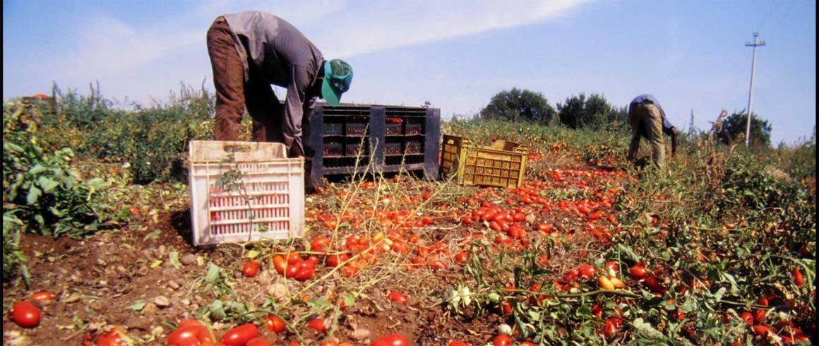 Migrazioni, il lavoro che m(n)obilita