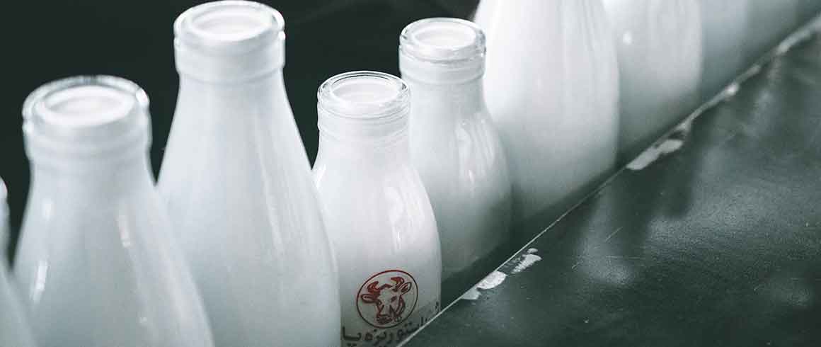 Il latte, bevanda dell’altro mondo