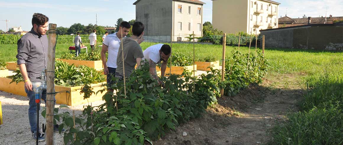 Studenti, coltivate il vostro orticello