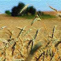 Alimentazione e sostenibilit&agrave;