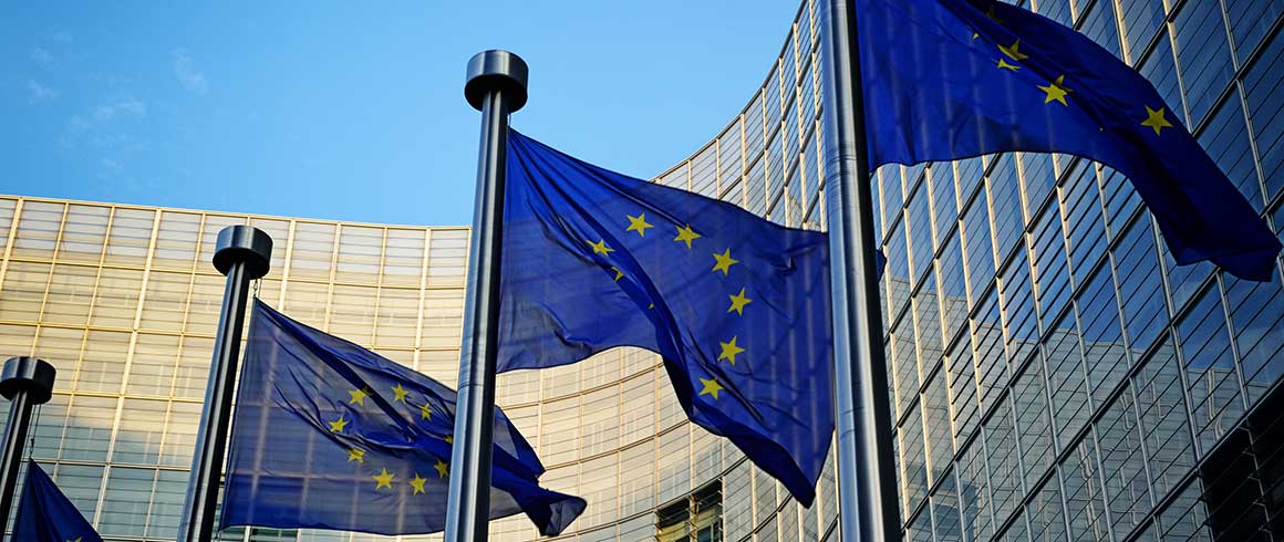 Dal master alla Commissione europea